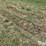 tractor-chains-image-7