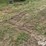 tractor-chains-image-5
