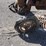 #2408-•-farmall-cub-a-tractor-with-sickle-bar-mower-image-9
