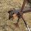 chisel-stalk-chopper-image-9