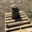 us-motors-hollo-shaft-gear-head-image-6