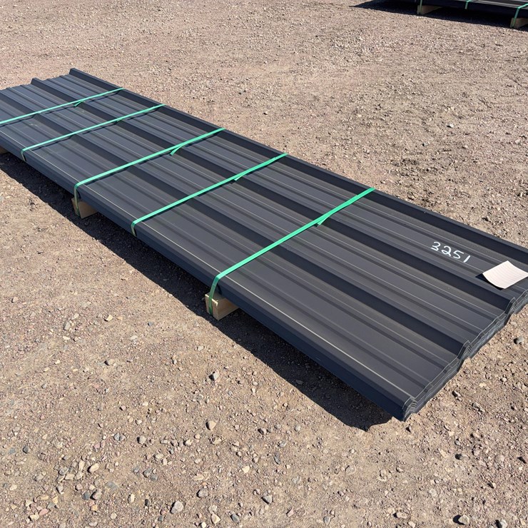 Painted R-Panel