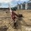 feterl-grain-auger-w/-swing-hopper-image-2