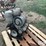 deutz-2-cyl-diesel-engine-image-7