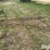 tractor-chains-image-8