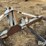 shald-3-pt-double-bale-mover-image-18