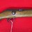 mauser-werke-a.g.-oberndorf-a.n.-bolt-action-rifle-.22-lr-image-8