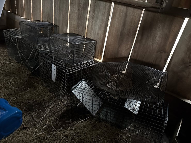 #66-•-animal-traps-and-minnow-traps-image-1
