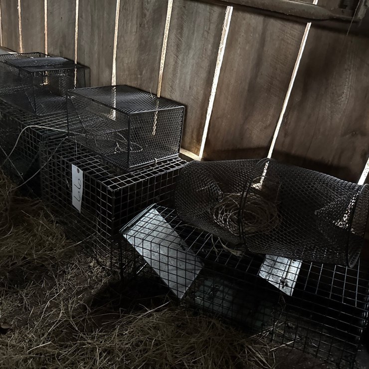 #66 • ANIMAL TRAPS AND MINNOW TRAPS