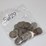#36129-•-(50)-1-dollar-coins-|-misc-years-image-2