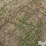 tractor-chains-image-15