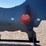 ar500-steel-boar-shooting-target-with-heart-flapper-image-5