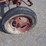 international-cub-image-19