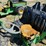 2011-john-deere-gator-image-8