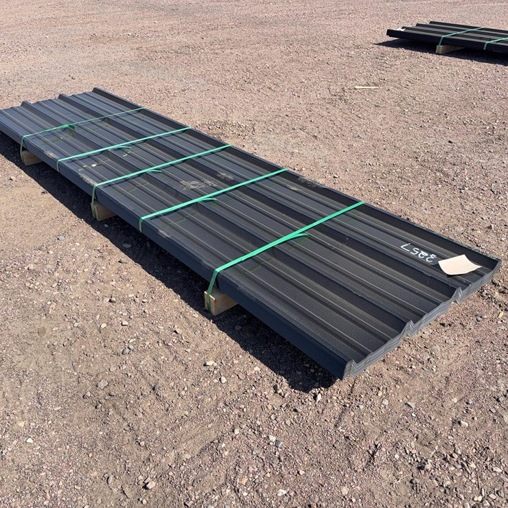 Painted R-Panel