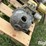 pumps-image-19