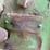 john-deere-620-image-62