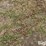 tractor-chains-image-15