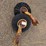 #9117-•-cutter-tail-wheels-image-1