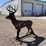 ar500-steel-deer-shooting-target-with-heart-flapper-image-3