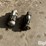 john-deere-4020-image-2