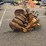 #9057-•-reynolds-levee-plow-image-3