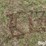 tractor-chains-image-9
