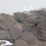 #36042-•-(300)-wheat-pennies-image-5