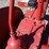 #2404-•-farmall-a-tractor-image-10