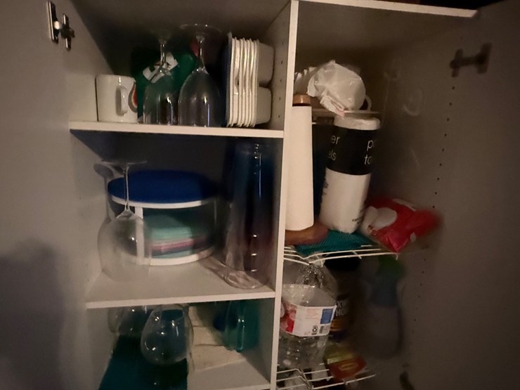 #96-•-cabinet-and-contents-image-2