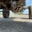 massey-ferguson-35-image-42