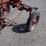 international-cub-image-18