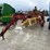 new-holland-216-image-1