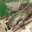 henke-h12a-feed-wagon-image-18