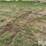 tractor-chains-image-1