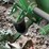 2000-john-deere-930d-image-31