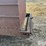 kelly-ryan-feed-wagon-image-19