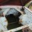 (inop)-(t)-1964-ford-falcon-"futura"-image-19