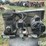 sanborn-500bp60v-60-gal-air-compressor-image-10