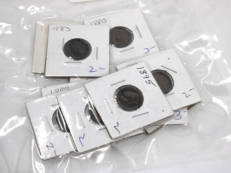#36046-•-(11)-late-1800's-indian-head-pennies-image-1