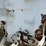 piester-dry-fertilizer-spreader-image-16