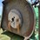 2015-john-deere-mx15-image-7