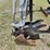 2020-takeuchi-tb225-image-8