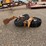 #9117-•-cutter-tail-wheels-image-4