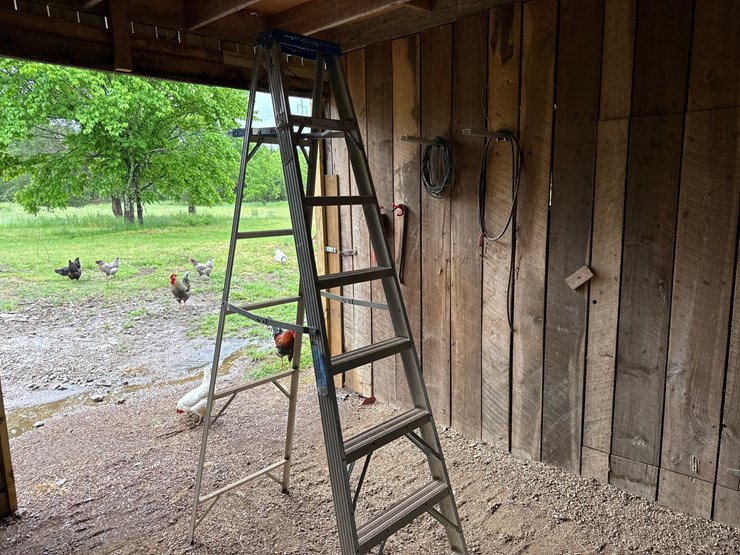 #62-•-werner-8’-step-ladder-and-wooden-ladder-image-1
