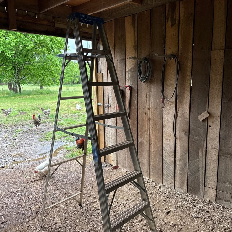 #62 • WERNER 8’ STEP LADDER AND WOODEN LADDER