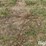 tractor-chains-image-13