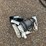 #9047-•-lot-of-trailer-hitches-(4)-&-winch-image-1