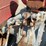 massey-ferguson-35-image-20