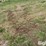 tractor-chains-image-3